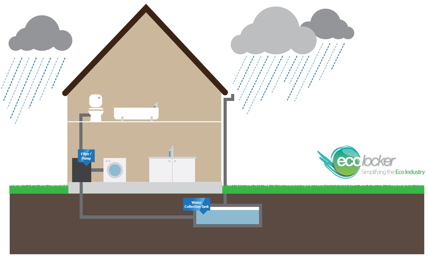 Rainwater Harvesting Illustration