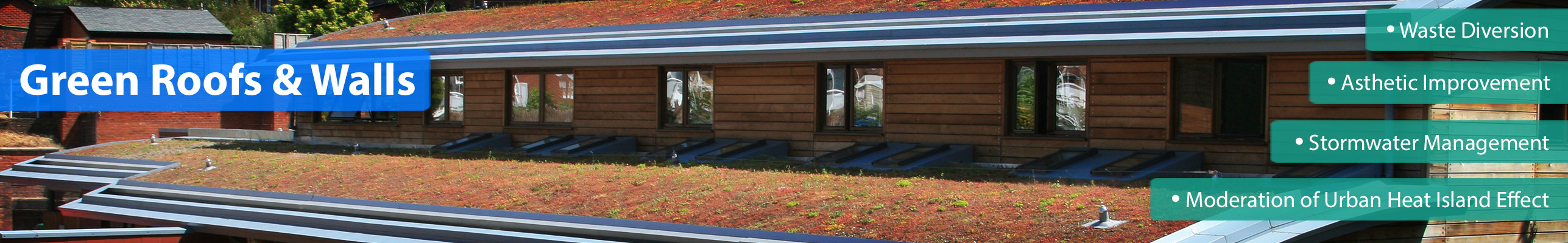 how-do-green-roofs-work-green-roof-information